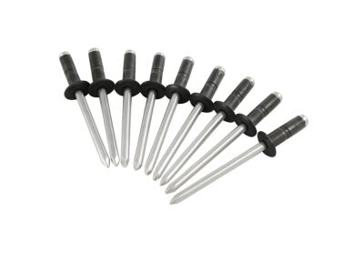 Mopar 68206095AA Rivet