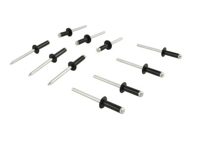 Mopar 68206095AA Rivet