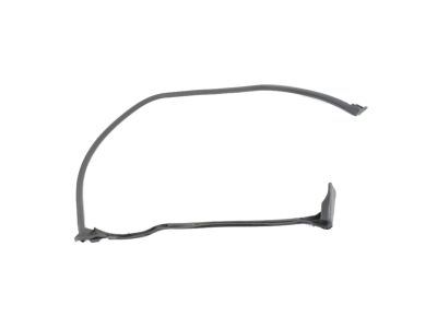 Mopar 68229643AD WEATHERSTRIP-Cargo Door