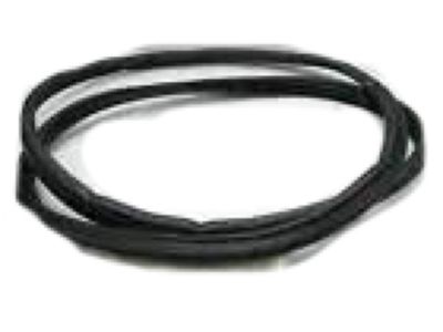 Mopar 4780157AD WEATHERSTRIP-Rear Door