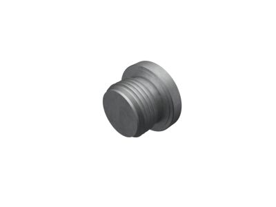 Mopar 6513212AA Plug-Transmission Case