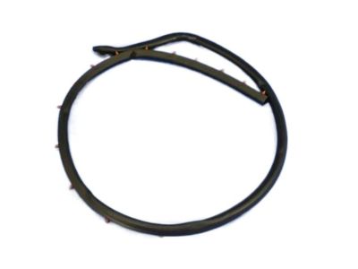 Mopar 68110772AC WEATHERSTRIP-LIFTGATE Opening