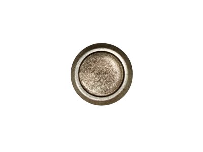 Mopar 4884905AA Pin