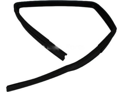 Mopar 55395728AF WEATHERSTRIP-Door Glass Run Channel