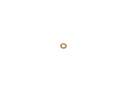 Mopar 68447753AA ORING Kit-Fuel INJECTOR