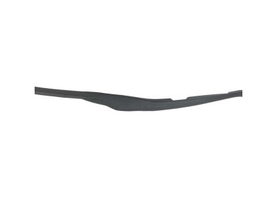 Mopar 68188806AA Seal-Rear Door