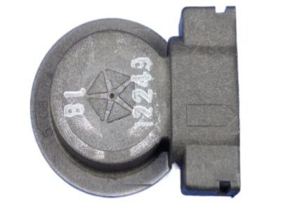 Mopar 68060366AA Socket-Park And Turn Signal