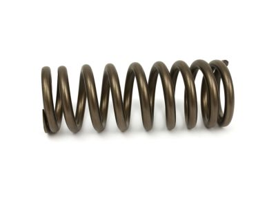 Mopar 4892675AA Spring-Valve