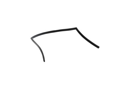 Mopar 68188785AE WEATHERST-Front Door Glass
