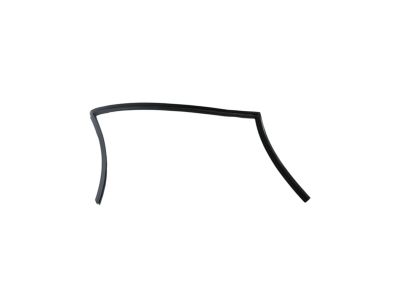 Mopar 68188785AE WEATHERST-Front Door Glass