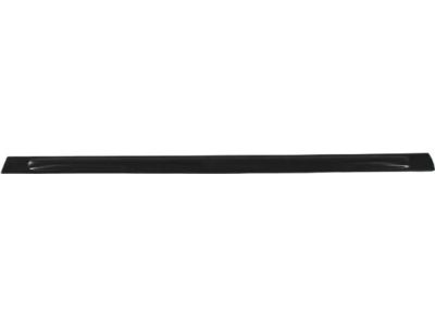 Mopar 5174846AA Molding-Front Door