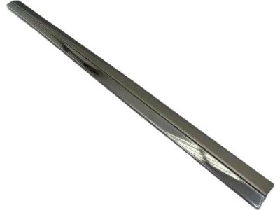 Mopar ZW511KGAA Molding-Sliding Door