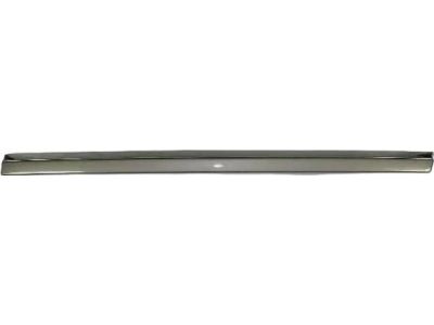 Mopar ZW511KGAA Molding-Sliding Door