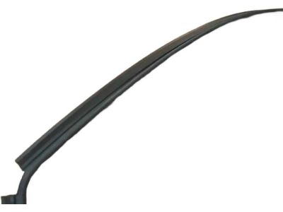 Mopar 5020499AA Molding-Front Door Closeout