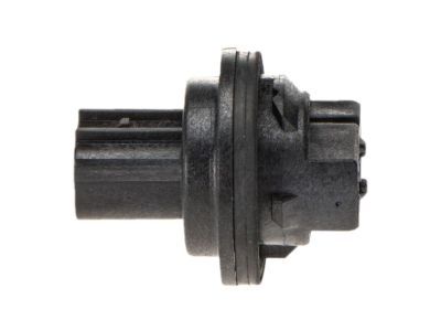 Mopar 68186725AB Socket-Park And Turn Signal