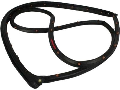 Mopar 5074513AD WEATHERSTRIP-Front Door Mounted