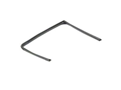 Mopar 68285724AF Rear Door Glass Run