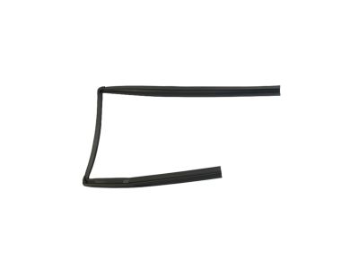 Mopar 55399189AG WEATHERSTRIP-Rear Door Glass Run