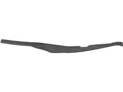 Mopar 68188806AB Seal-Rear Door