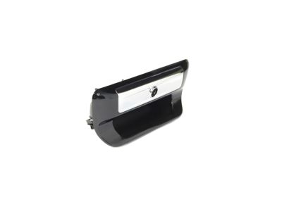 Mopar 6RN811GZAA Handle-TAILGATE