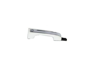Mopar 6CV361W7AD Handle-Exterior Door