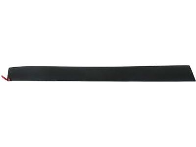 Mopar 5182563AB Molding-Front Door