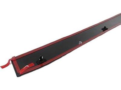 Mopar 5182563AB Molding-Front Door