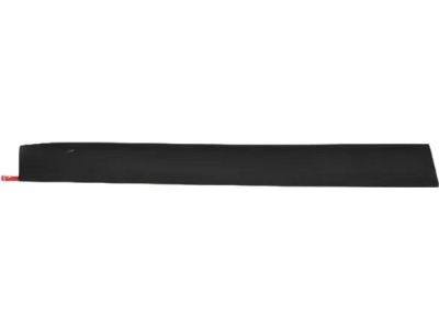 Mopar 5182563AB Molding-Front Door
