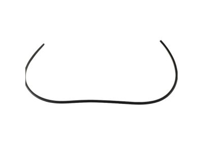 Mopar 5074642AJ WEATHERSTRIP-Front Door Body Mounted
