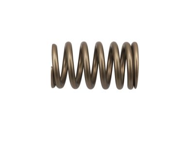 Mopar 53021775AC Spring-Valve