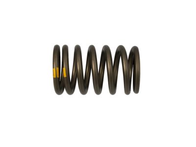 Mopar 53021775AC Spring-Valve