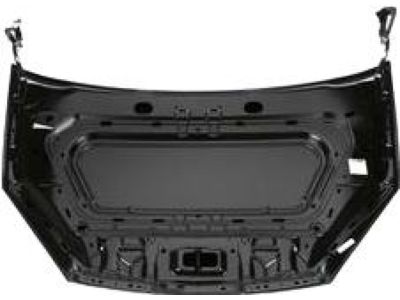 Mopar 68425280AA Hood Panel