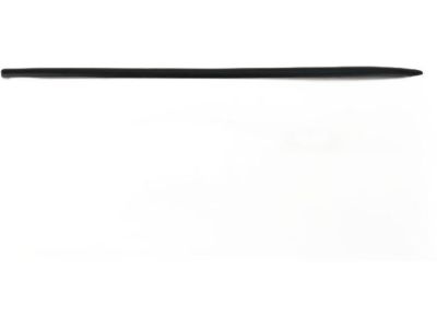 Mopar XV16TZZAA Molding-Front Door