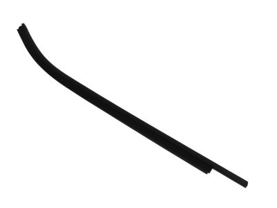 Mopar 5303690AK WEATHERSTRIP-Rear Door Belt Outer