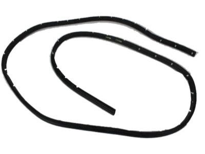 Mopar 4217552 WEATHERSTRIP-Front Door