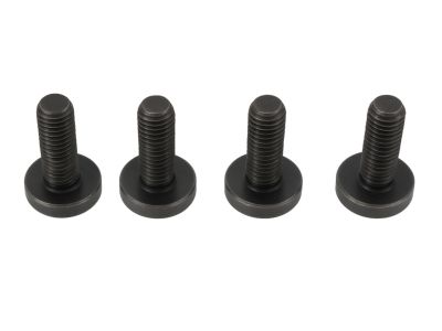 Mopar 68191255AA Screw-TORX Head