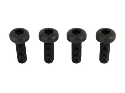 Mopar 68191255AA Screw-TORX Head