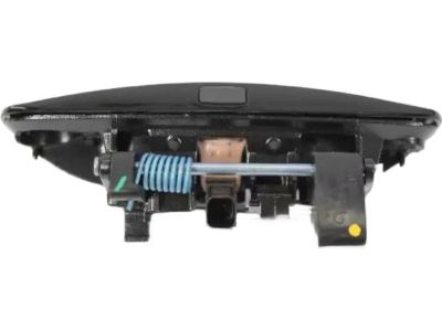 Mopar 1MZ85DX8AM Handle-Front Door Exterior