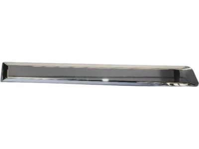 Mopar 55156846AC APPLIQUE-Rear Door