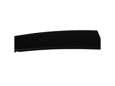 Mopar 4806149AB APPLIQUE-Rear Door
