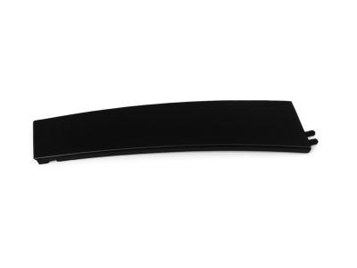 Mopar 4806149AB APPLIQUE-Rear Door