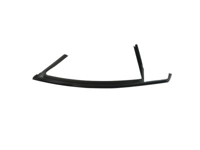 Mopar 68144954AE WEATHERSTRIP-Front Door Glass