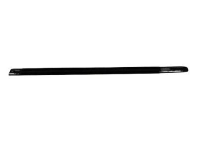 Mopar 4805996AE WEATHERSTRIP-Front Door Belt