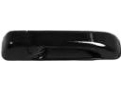 Mopar 1GH18AXRAF Exterior Door