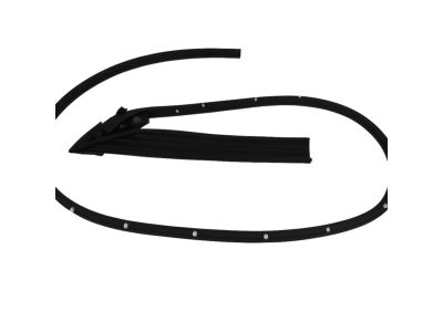 Mopar 68067556AB WEATHERSTRIP-Front Door Mounted