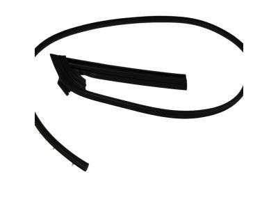 Mopar 68067556AB WEATHERSTRIP-Front Door Mounted