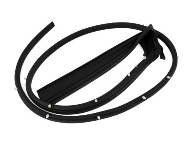 Mopar 68067556AB WEATHERSTRIP-Front Door Mounted