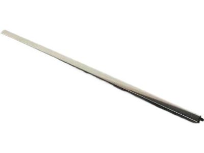 Mopar 68257252AE Front Door Belt Outer