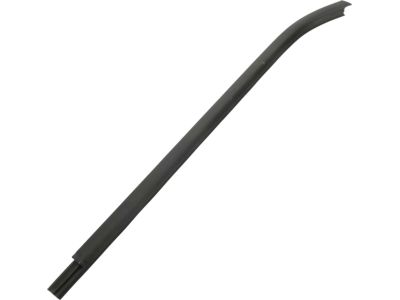 Mopar 68271675AD W/STRIP-Door Belt Outer