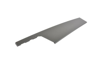 Mopar 68247337AA Molding-Rear Door